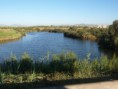 /album/photo-gallery-photogallery/view-from-the-first-hide-at-rio-guadalhorce-in-malaga-jpg/